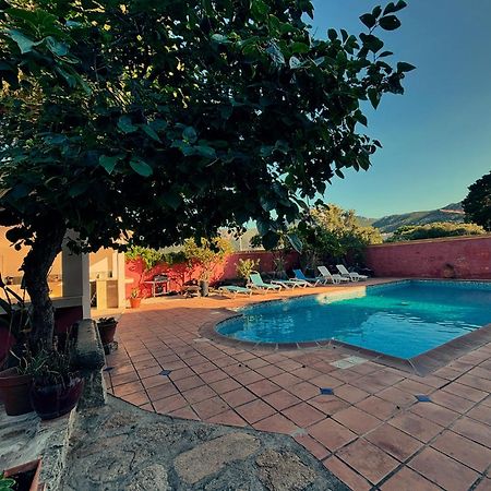 Residence Antonia Appartements Avec Piscine Commune - Centre Ville Calvi Calvi  Exterior foto