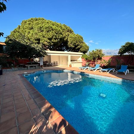 Residence Antonia Appartements Avec Piscine Commune - Centre Ville Calvi Calvi  Exterior foto