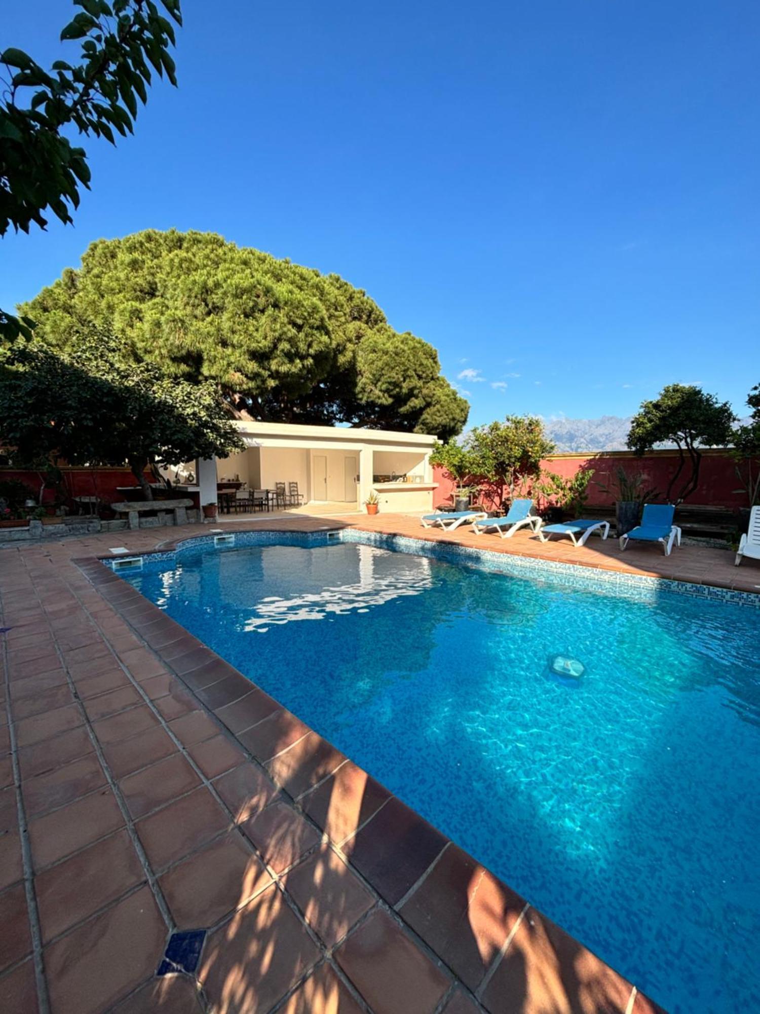 Residence Antonia Appartements Avec Piscine Commune - Centre Ville Calvi Calvi  Exterior foto