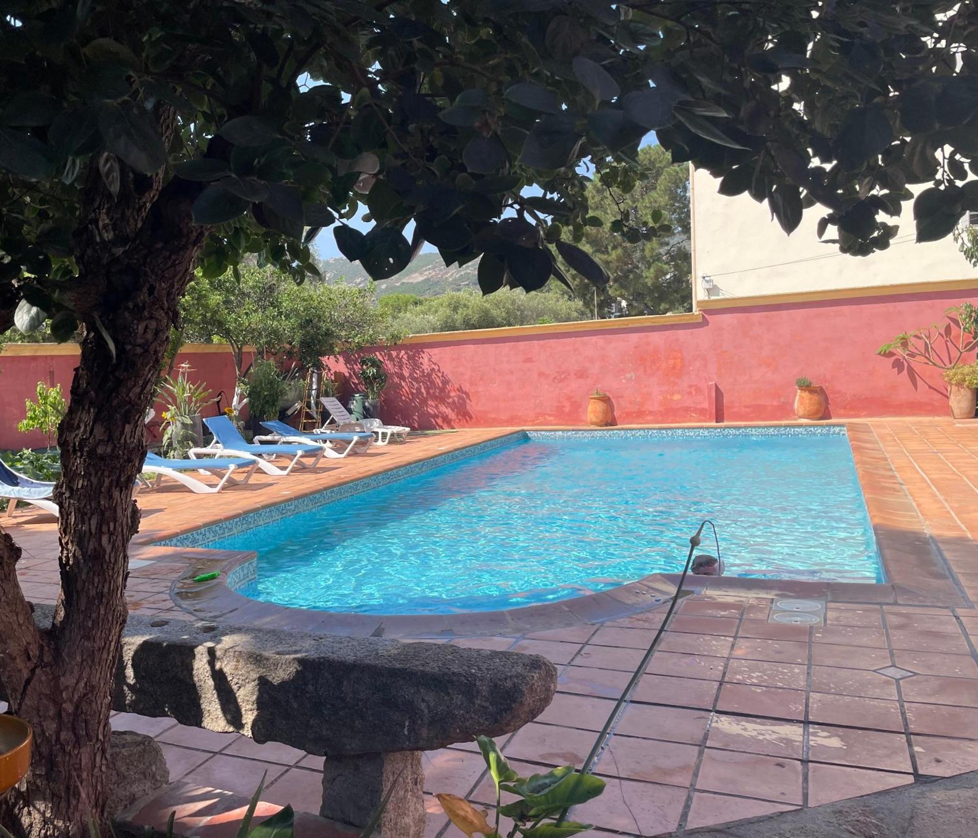Residence Antonia Appartements Avec Piscine Commune - Centre Ville Calvi Calvi  Exterior foto