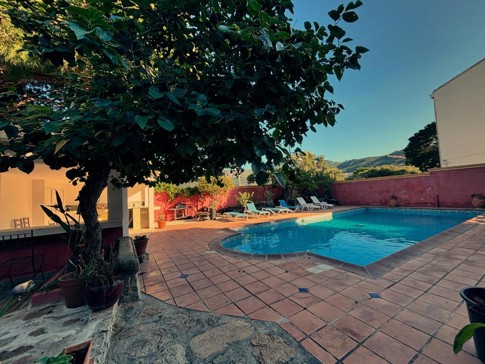 Residence Antonia Appartements Avec Piscine Commune - Centre Ville Calvi Calvi  Exterior foto