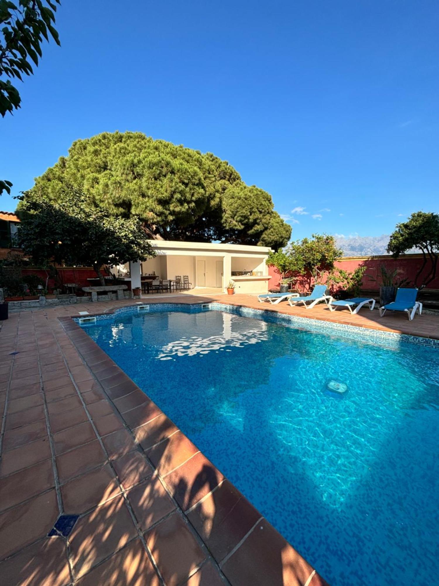 Residence Antonia Appartements Avec Piscine Commune - Centre Ville Calvi Calvi  Exterior foto